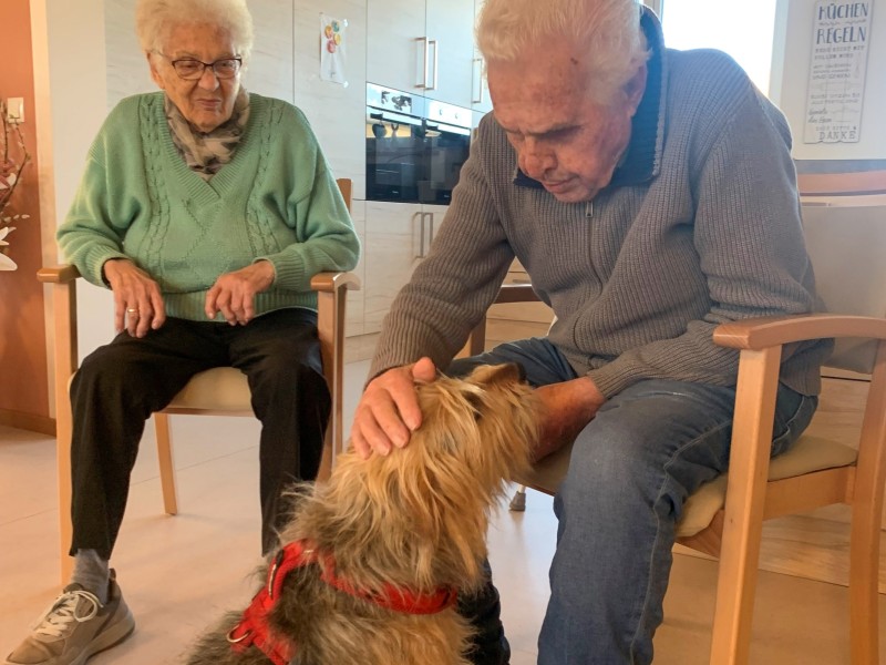Therapiehund Hanni in der Tagespflege