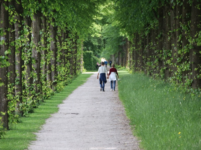 Wertschätzung der Natur