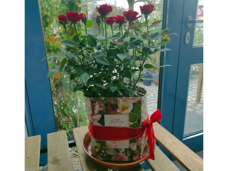 100. Geburtstag in der Diakonie-Tagespflege Mühlenpark