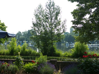 Ausblick auf den Main vom Haus-Mainblick