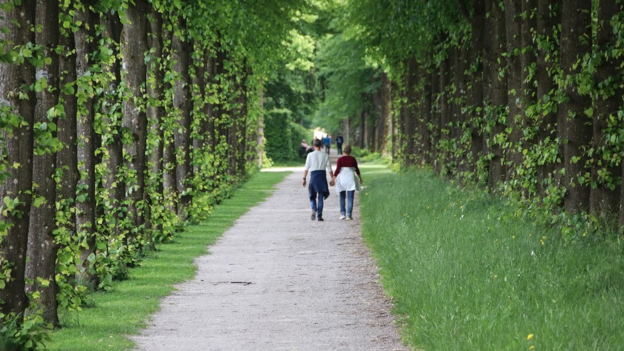 Wertschätzung der Natur